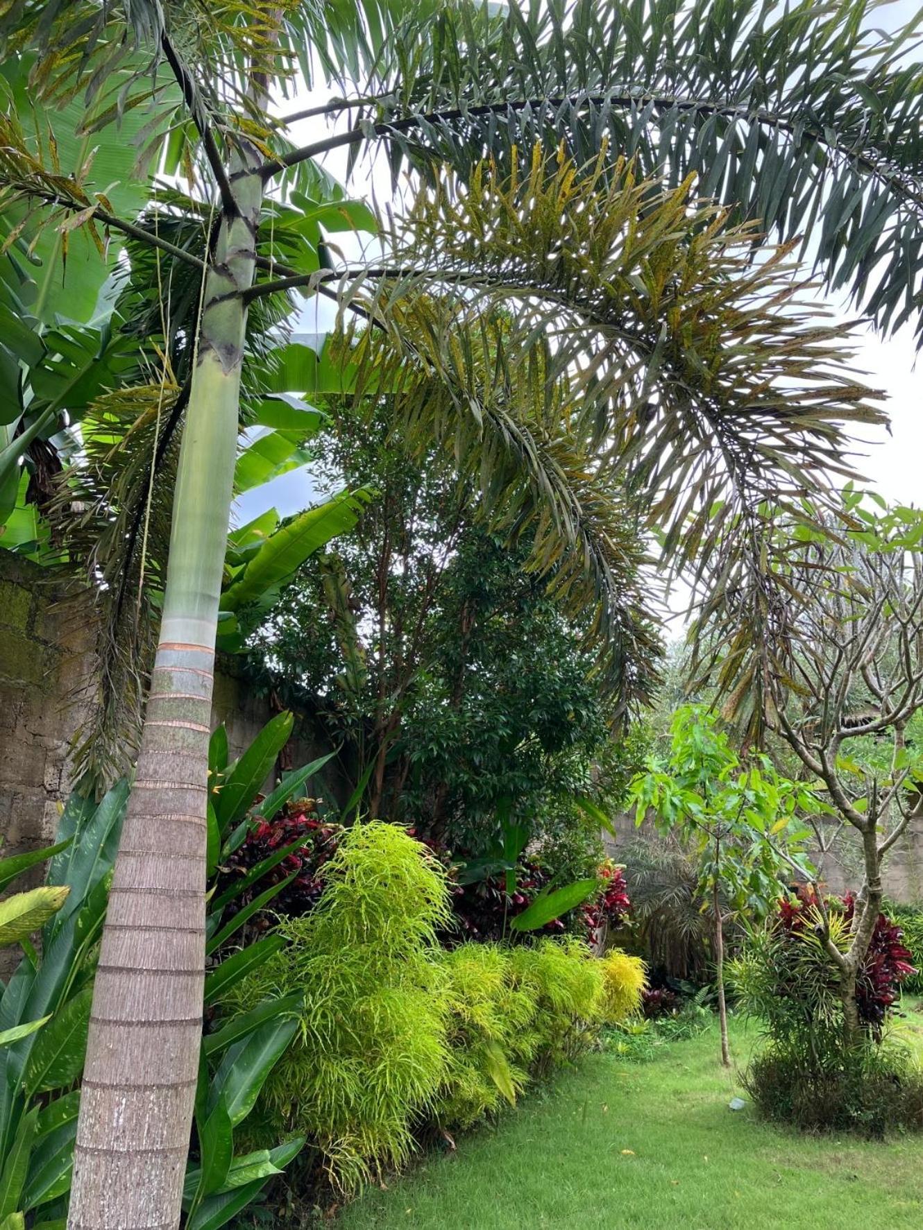 Villa Kelana Sidemen  Exterior foto